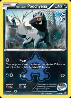 Team Aqua's Poochyena
