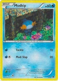 Mudkip